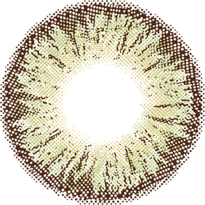 Contact Lenses Woodland Mist